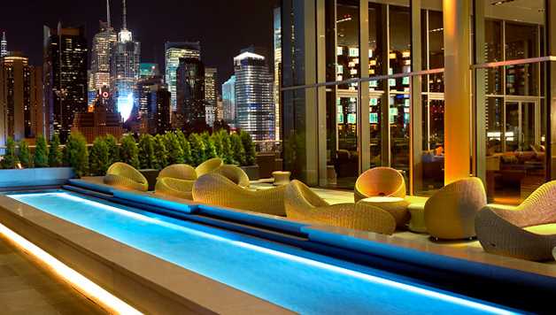 Rooftop new york hive