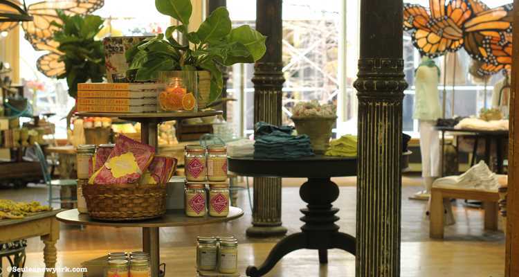 Anthropologie New York