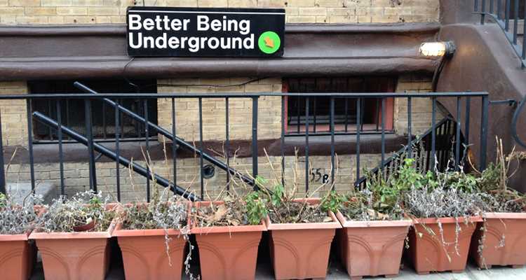 Better Being underground new york