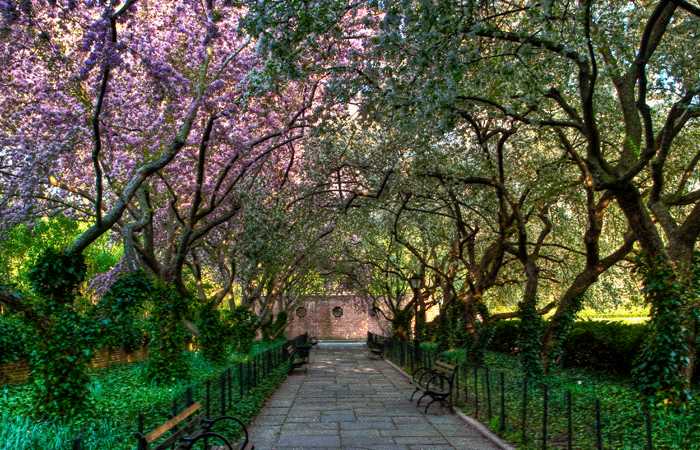 central park new york