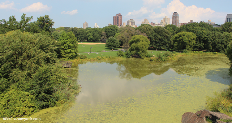 Turtle Pond, Central Park