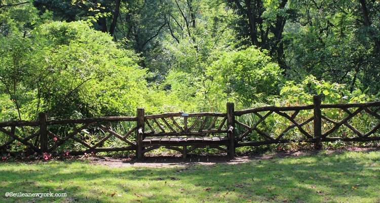 Shakespeare Garden, Central park